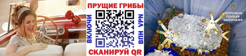 Псилоцибиновые грибы Cubensis  Окуловка 